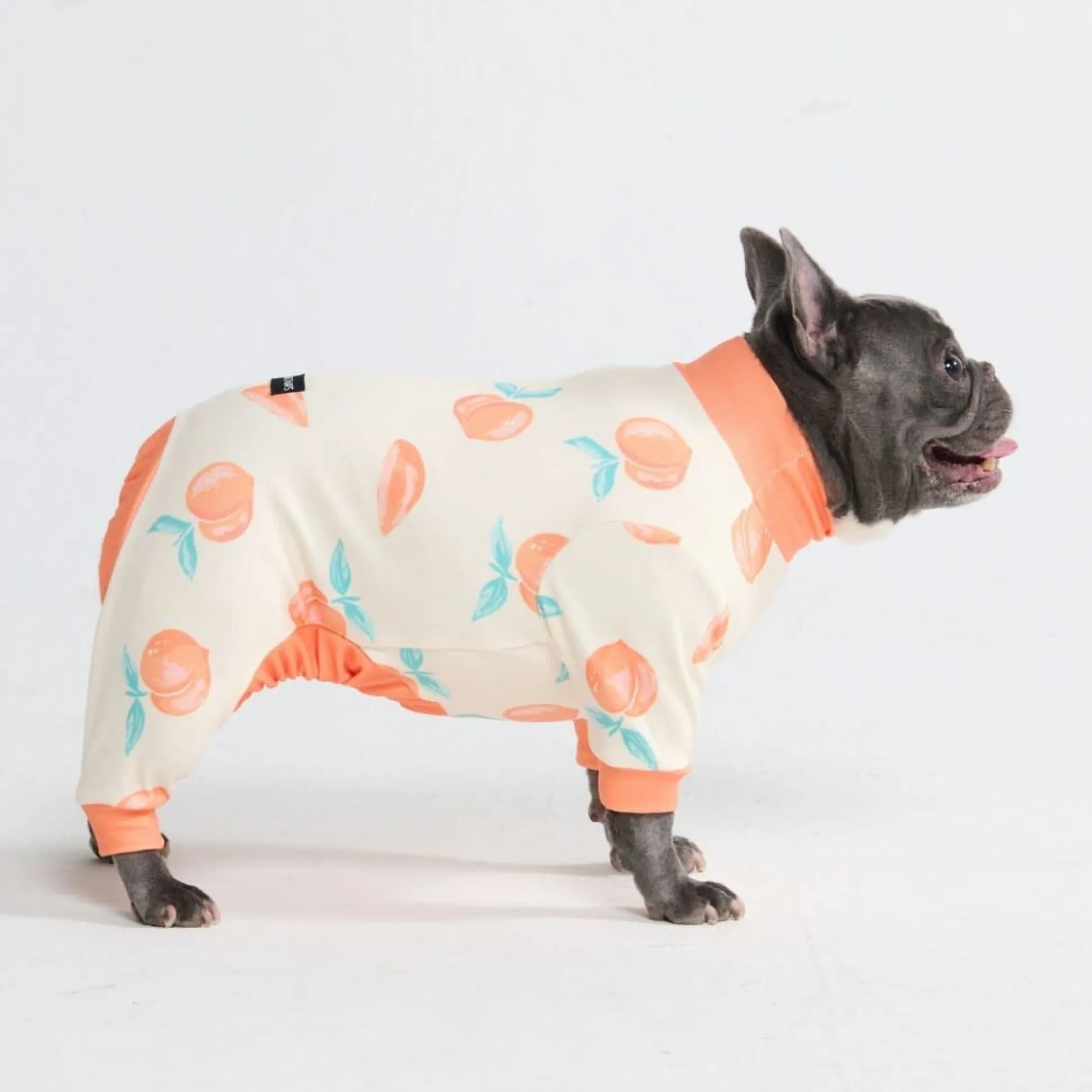 Dog Pajama - Peaches