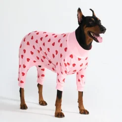 Dog Pajama - Pink Hearts