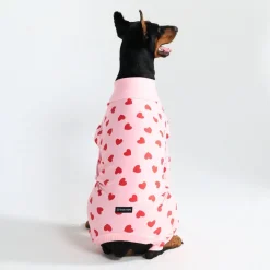 Dog Pajama - Pink Hearts
