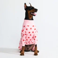 Dog Pajama - Pink Hearts