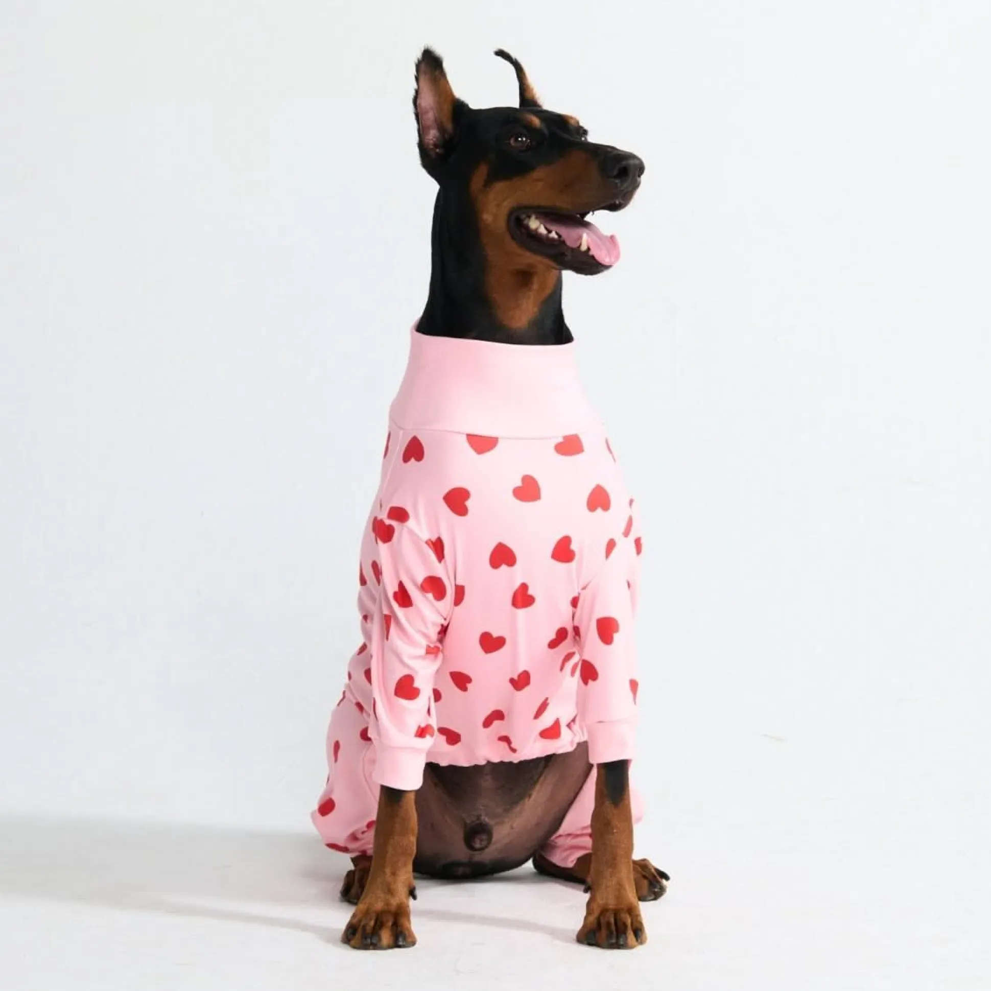 Dog Pajama - Pink Hearts