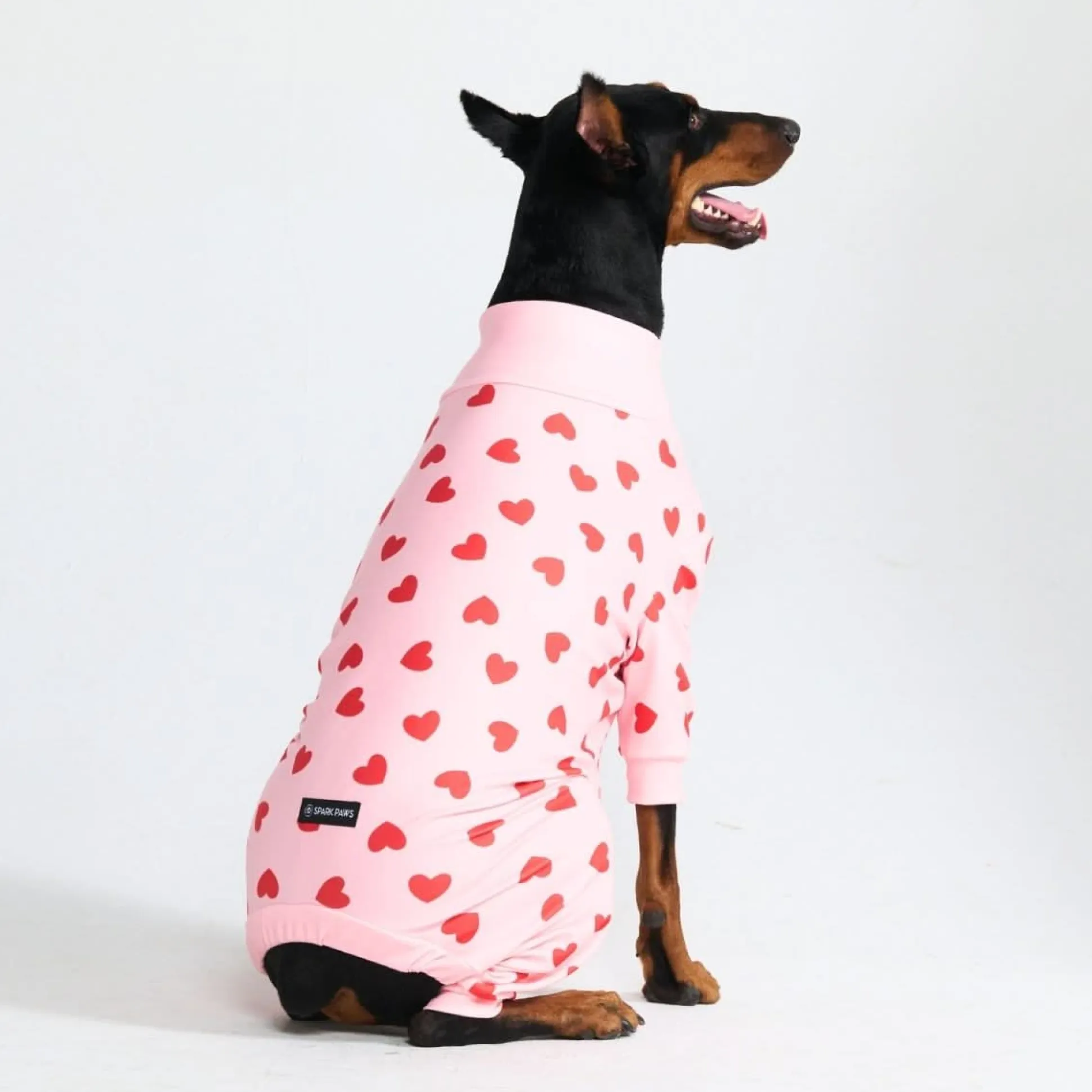 Dog Pajama - Pink Hearts