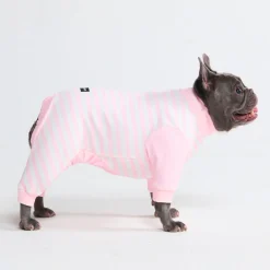 Dog Pajama - Pink Stripes