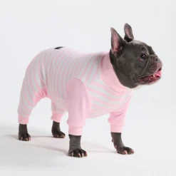 Dog Pajama - Pink Stripes