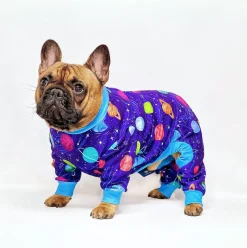 Dog Pajama - Planets