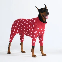 Dog Pajama - Red Hearts