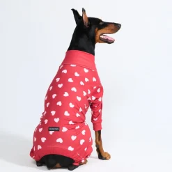 Dog Pajama - Red Hearts