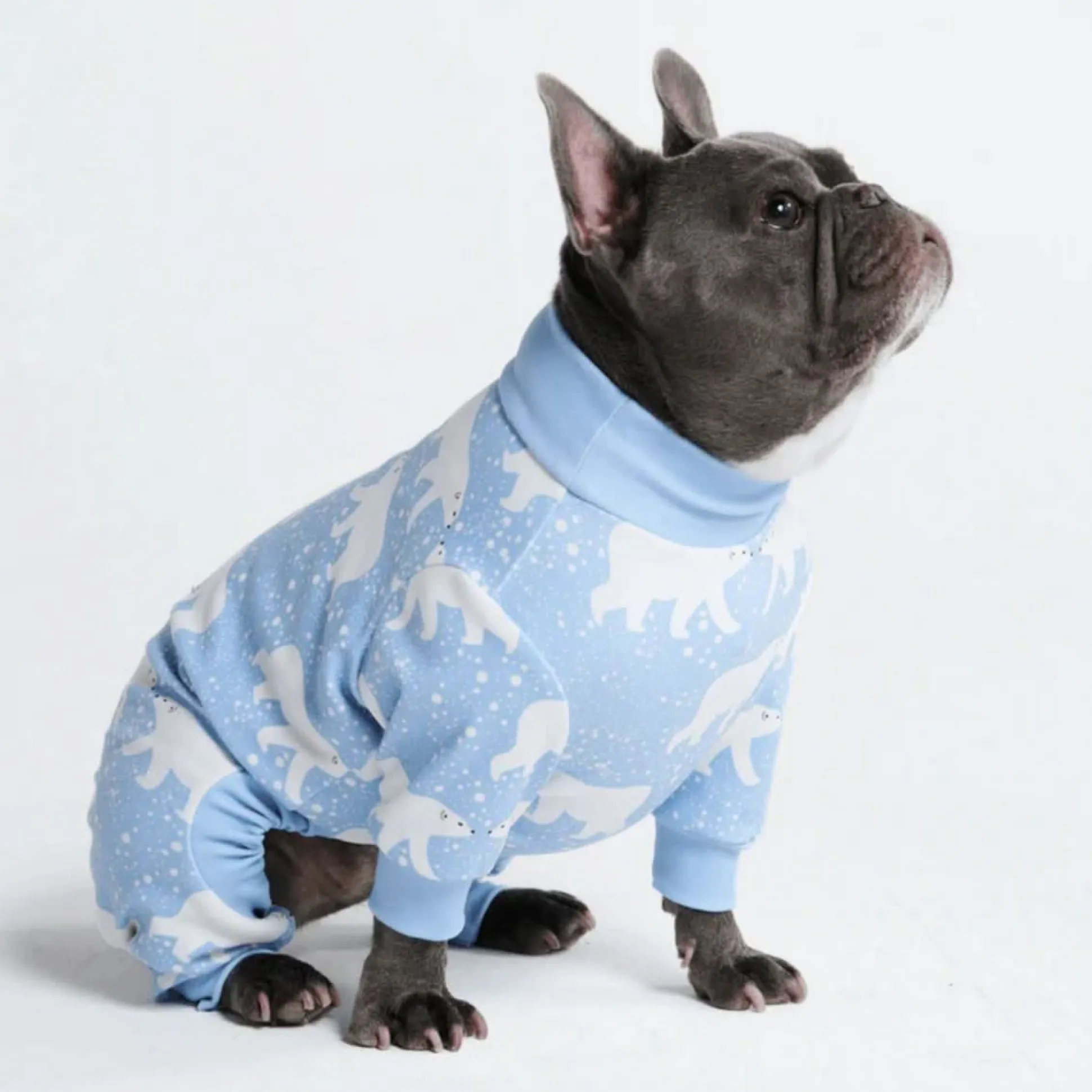 Dog Pajama - Snowy Polar Bear
