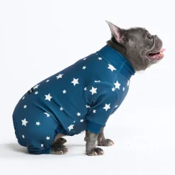 Dog Pajama - Stars