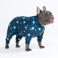 Dog Pajama - Stars