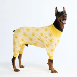 Dog Pajama - Sunshine