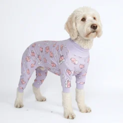 Dog Pajama - When Pigs Fly