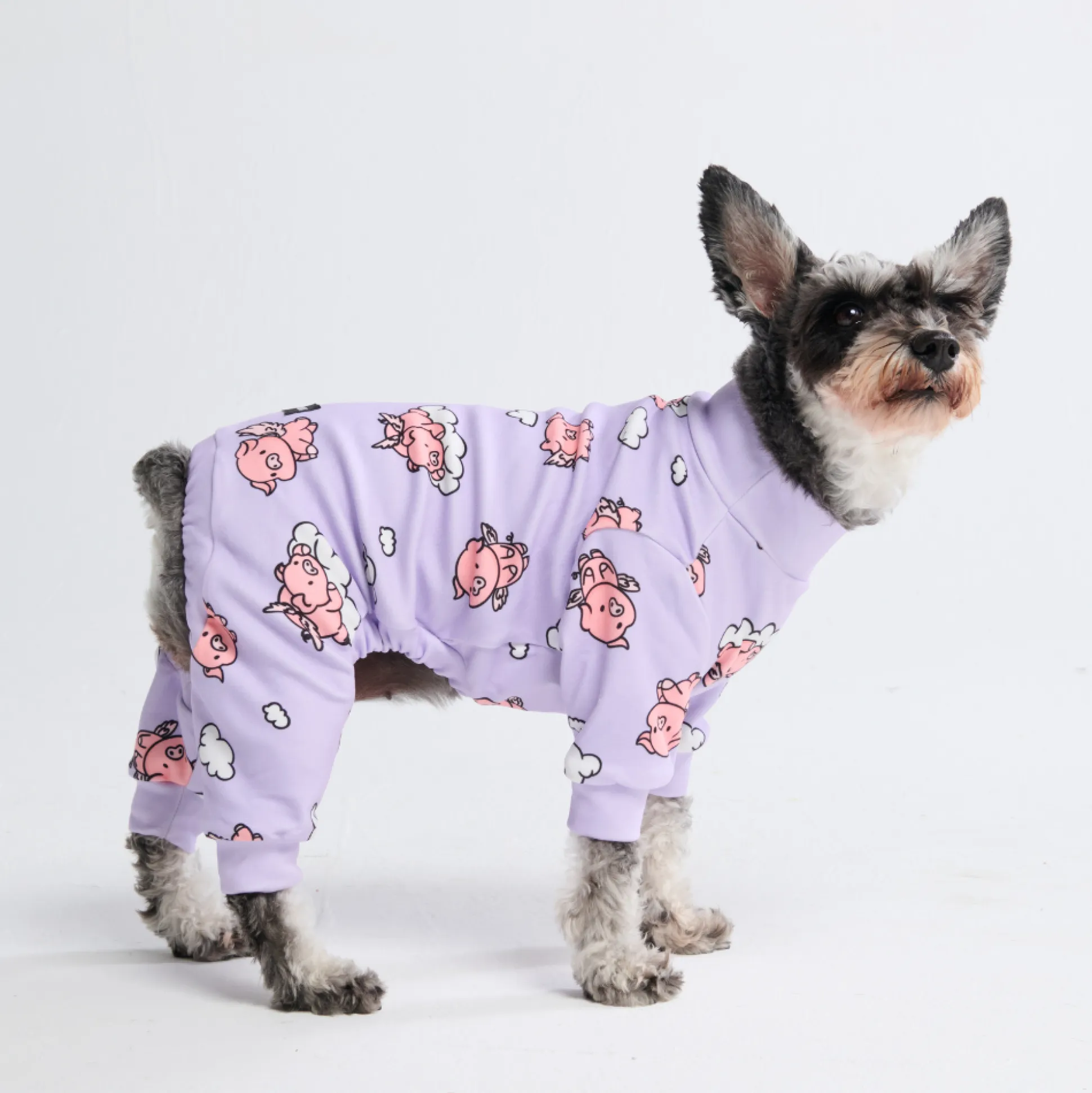 Dog Pajama - When Pigs Fly