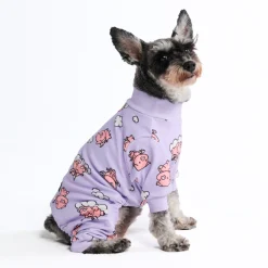 Dog Pajama - When Pigs Fly