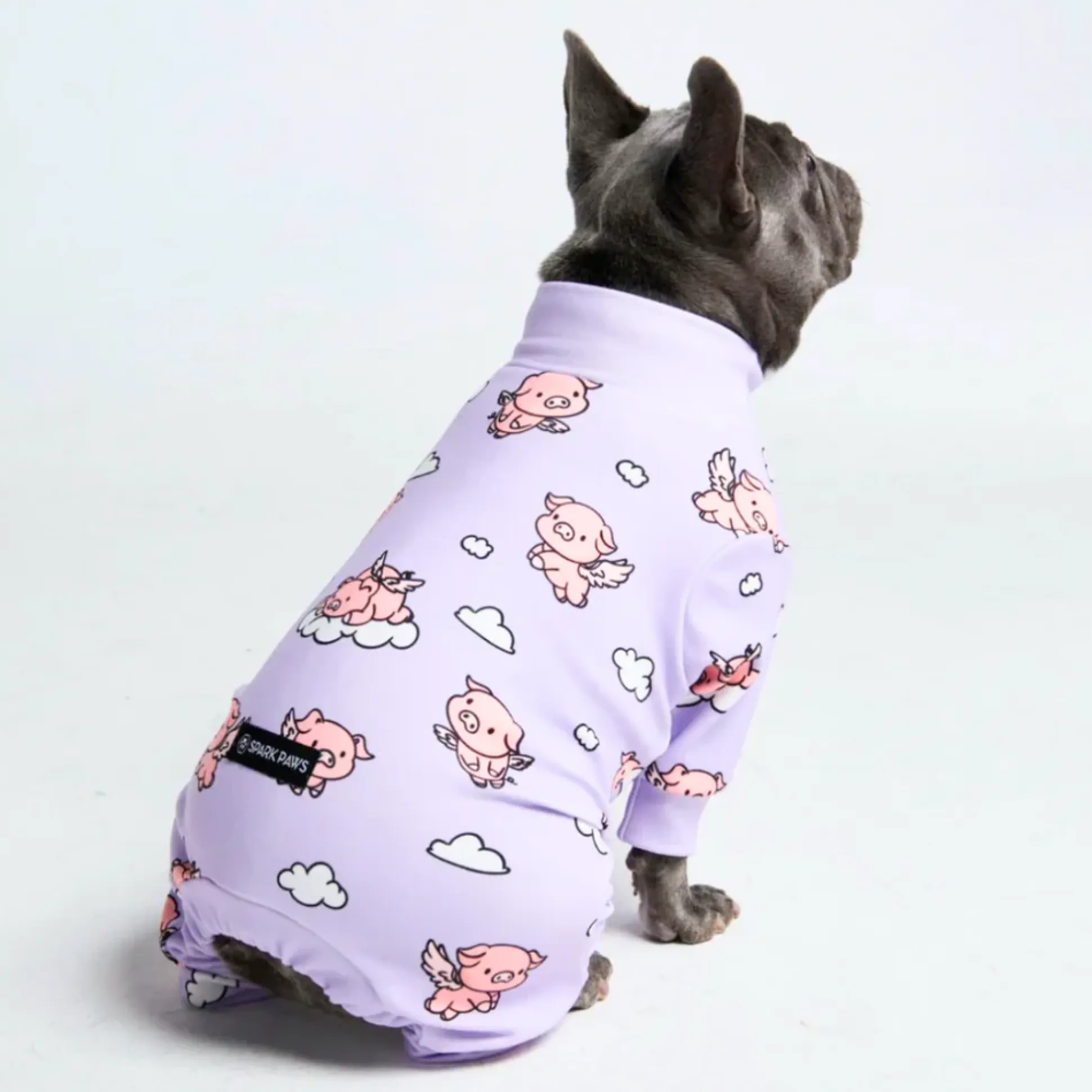Dog Pajama - When Pigs Fly