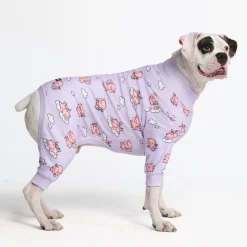 Dog Pajama - When Pigs Fly