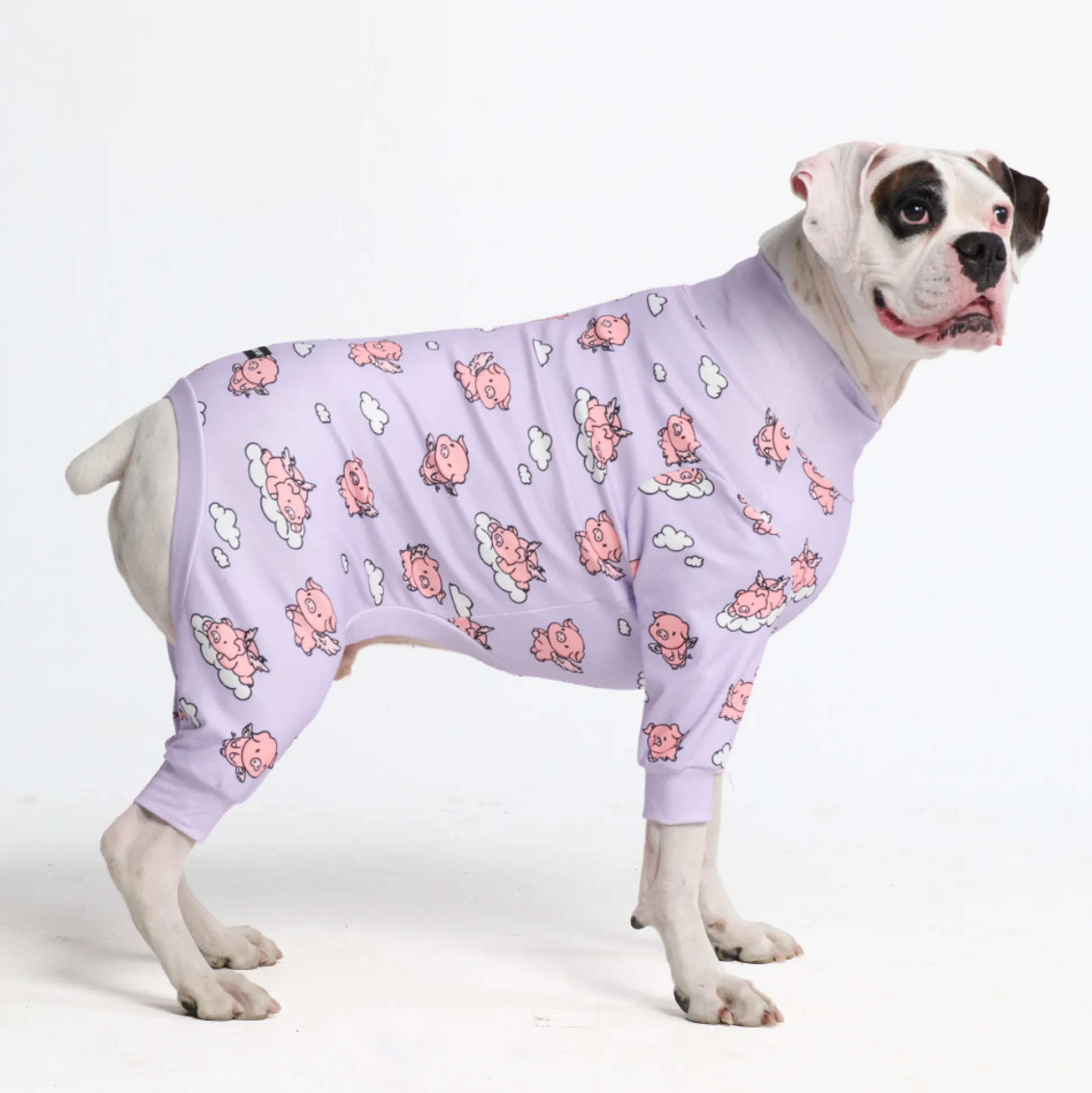 Dog Pajama - When Pigs Fly