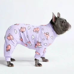 Dog Pajama - When Pigs Fly