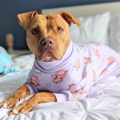 Dog Pajama - When Pigs Fly