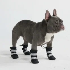 Dog Rainboots, Waterproof Dog Shoes - Black