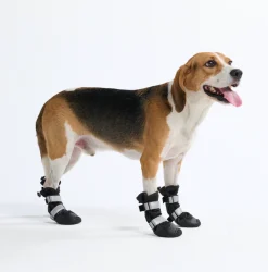Dog Rainboots, Waterproof Dog Shoes - Black