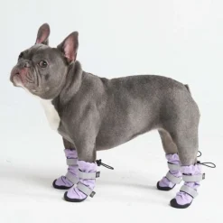 Dog Rainboots, Waterproof Dog Shoes - Lilac
