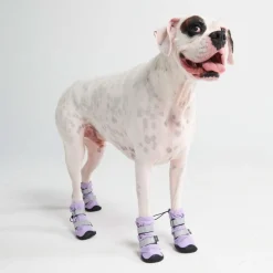 Dog Rainboots, Waterproof Dog Shoes - Lilac