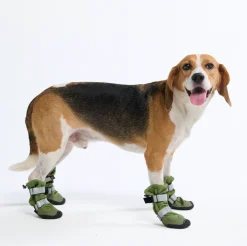 Dog Rainboots, Waterproof Dog Shoes - Green