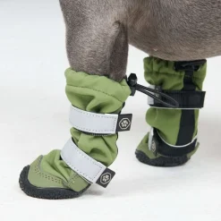 Dog Rainboots, Waterproof Dog Shoes - Green