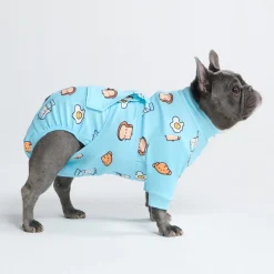 Dog Surgical Suit - Breakfast Blue