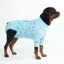 Dog Surgical Suit - Breakfast Blue