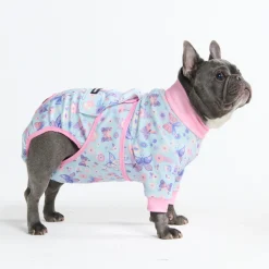 Dog Surgical Suit - Butterfly