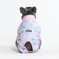 Dog Surgical Suit - Butterfly