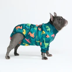 Dog Surgical Suit - Dinosaurs