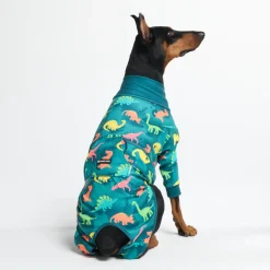 Dog Surgical Suit - Dinosaurs
