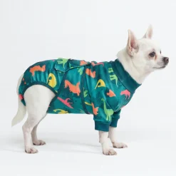Dog Surgical Suit - Dinosaurs