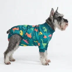 Dog Surgical Suit - Dinosaurs