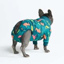 Dog Surgical Suit - Dinosaurs