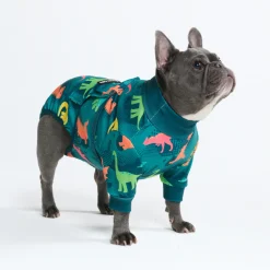 Dog Surgical Suit - Dinosaurs