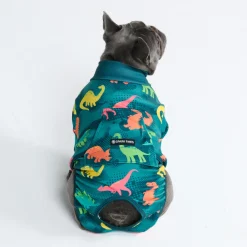 Dog Surgical Suit - Dinosaurs