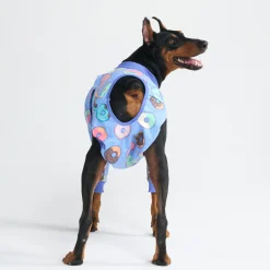 Dog Surgical Suit - Donuts