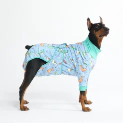 Dog Surgical Suit - Dragons