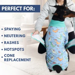 Dog Surgical Suit - Dragons