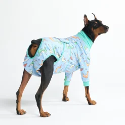 Dog Surgical Suit - Dragons