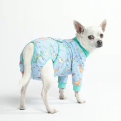 Dog Surgical Suit - Dragons
