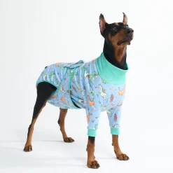 Dog Surgical Suit - Dragons