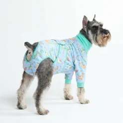 Dog Surgical Suit - Dragons