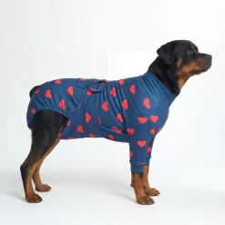 Dog Surgical Suit - Hearts