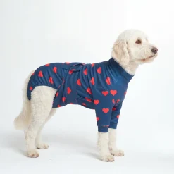 Dog Surgical Suit - Hearts