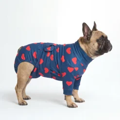 Dog Surgical Suit - Hearts
